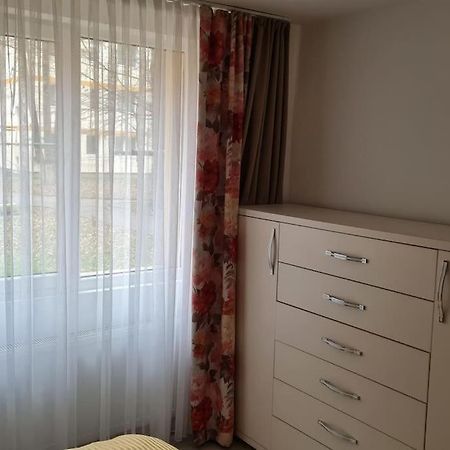 Apartament Violeta 古拉哈莫卢洛伊 外观 照片