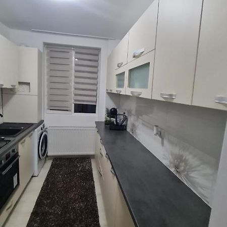 Apartament Violeta 古拉哈莫卢洛伊 外观 照片