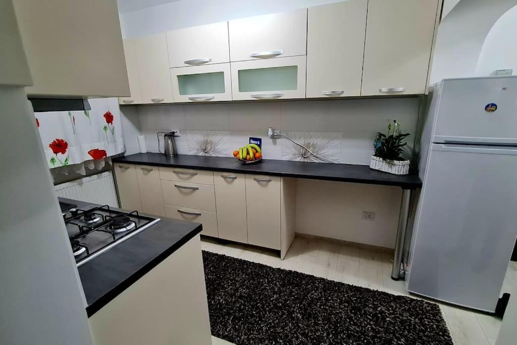 Apartament Violeta 古拉哈莫卢洛伊 外观 照片