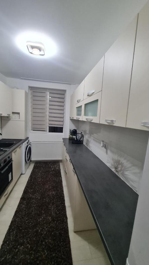 Apartament Violeta 古拉哈莫卢洛伊 外观 照片