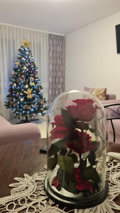 Apartament Violeta 古拉哈莫卢洛伊 外观 照片