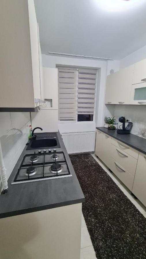 Apartament Violeta 古拉哈莫卢洛伊 外观 照片
