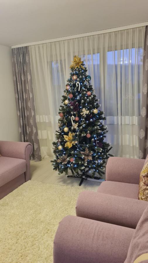 Apartament Violeta 古拉哈莫卢洛伊 外观 照片