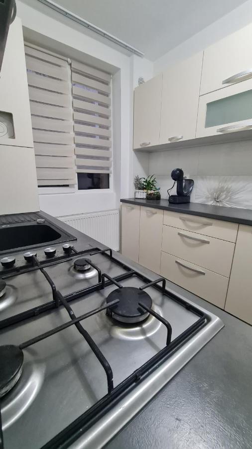 Apartament Violeta 古拉哈莫卢洛伊 外观 照片